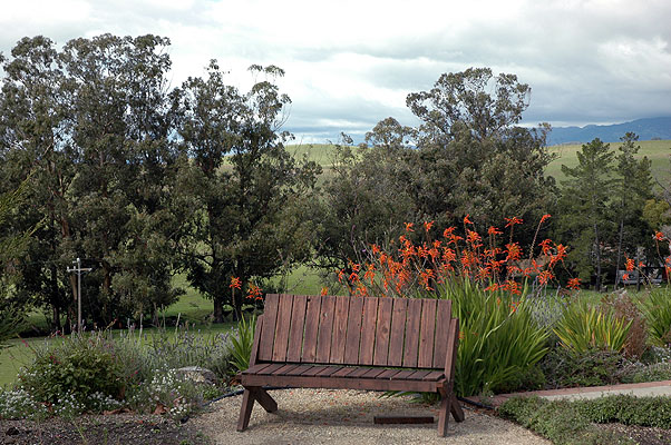 Cambria February 2011 016.JPG